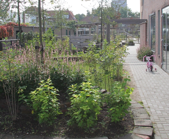 natuurlijk spelen