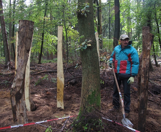 aanleg speelbos